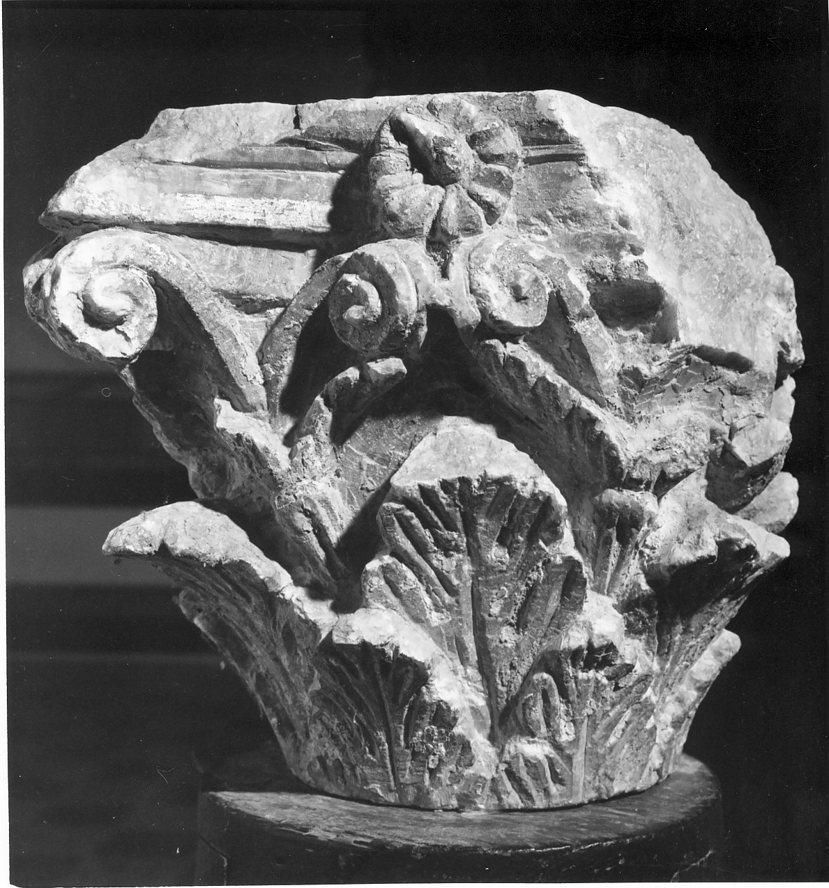 decorazione plastico-architettonica, frammento - bottega Italia meridionale (sec. XVI)