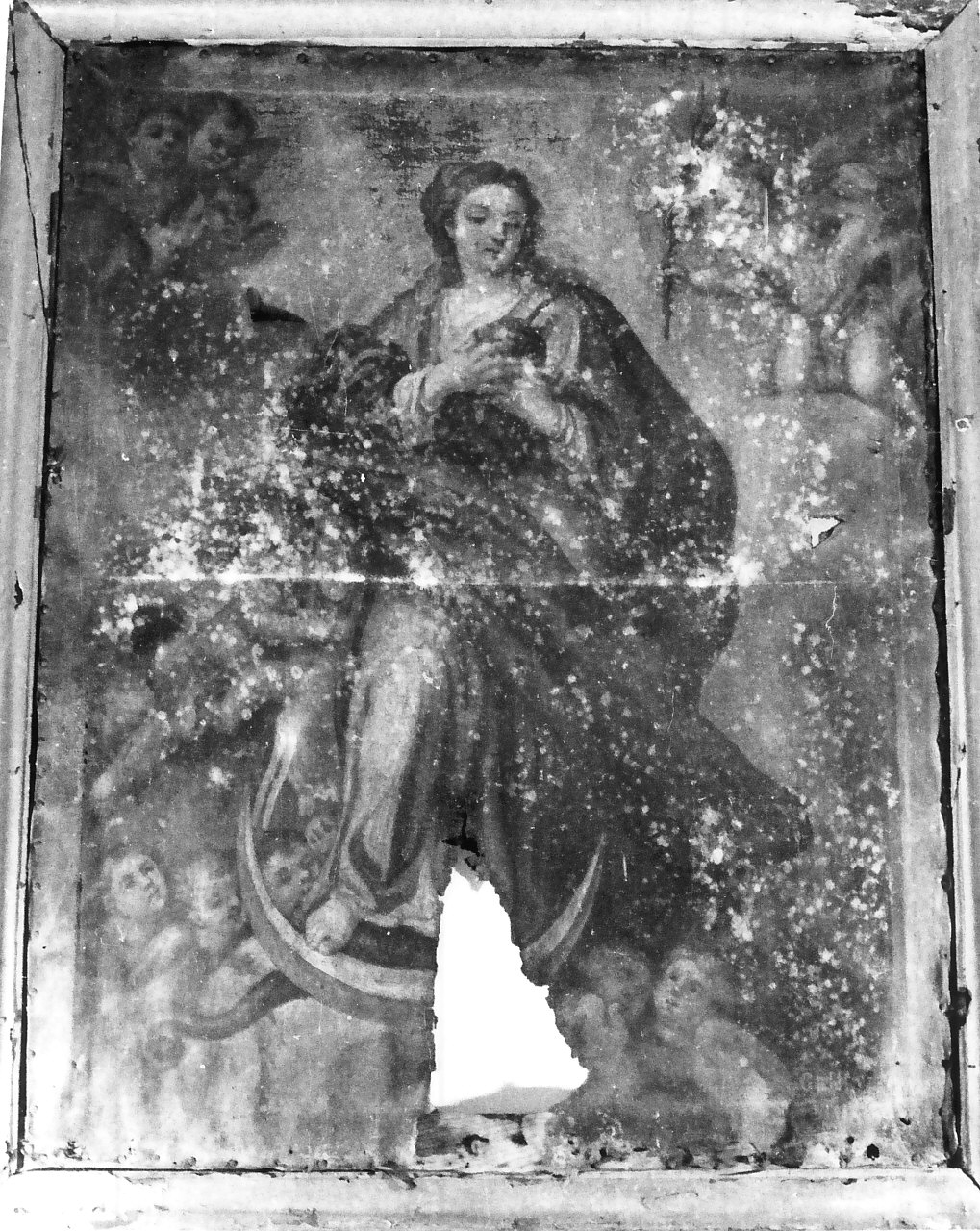 Immacolata Concezione (dipinto) di Galterio Genesio (seconda metà sec. XVIII)