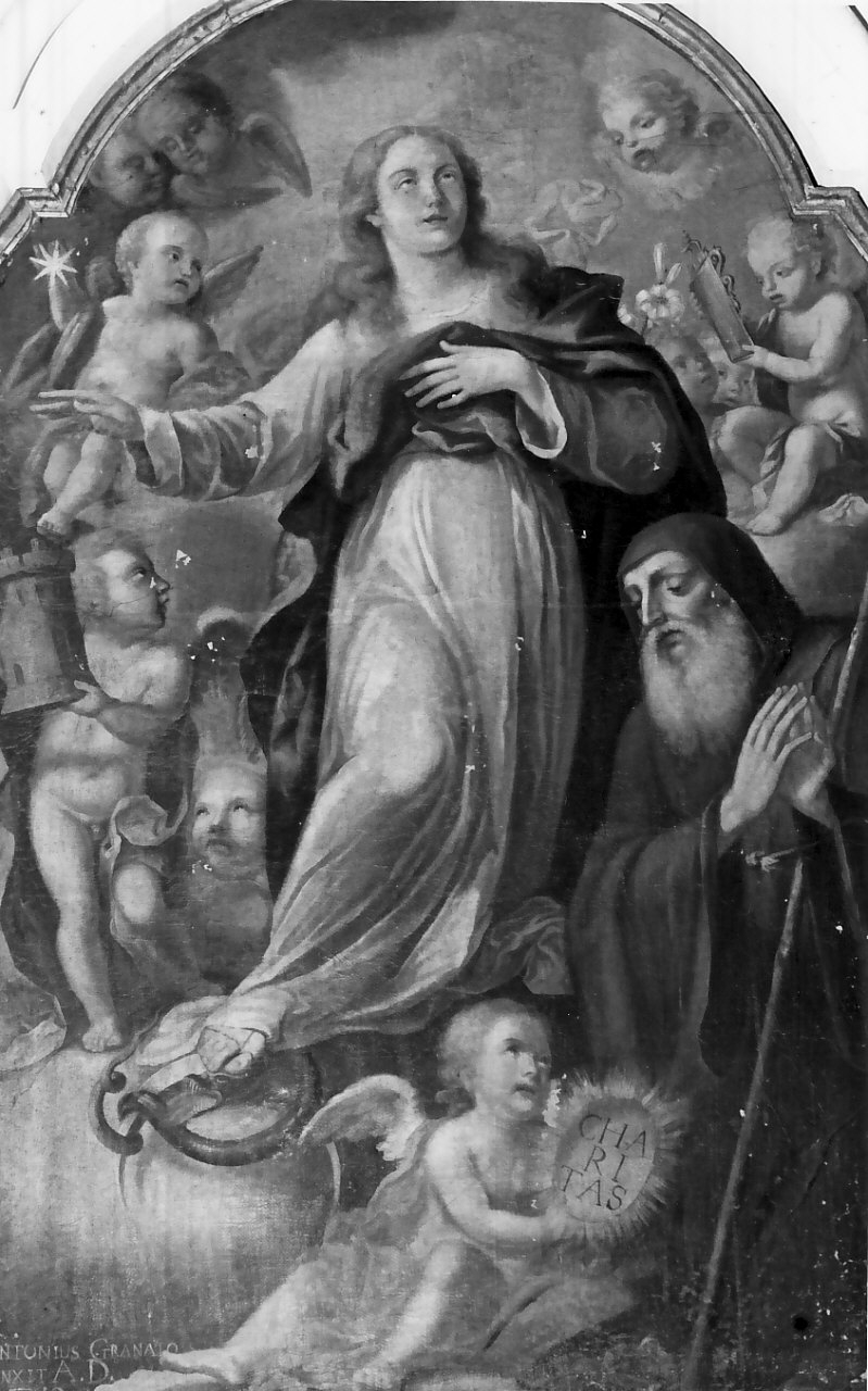 Madonna Immacolata e Santi (dipinto) di Granata Antonio (sec. XVIII)