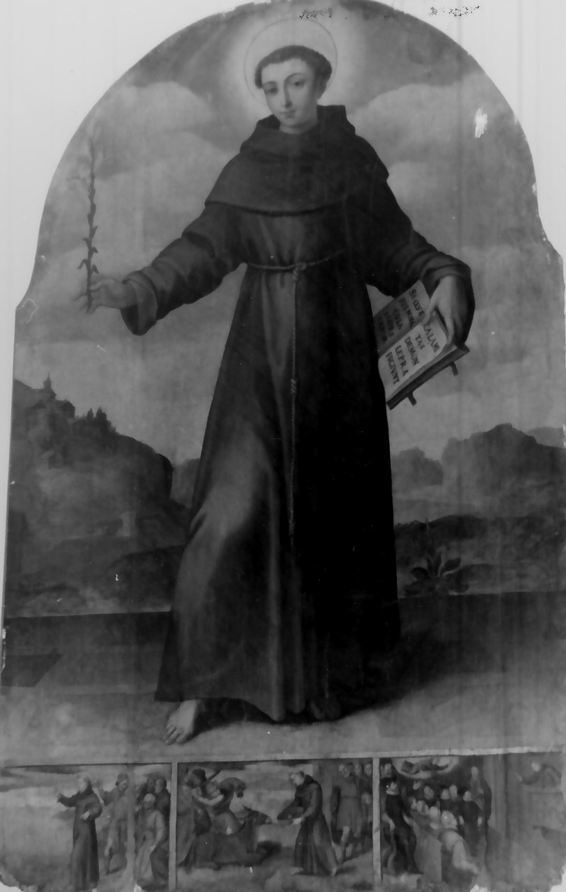 Sant'Antonio da Padova (dipinto, opera isolata) di Hendricksz Dirck detto Teodoro d'Errico (seconda metà sec. XVI)