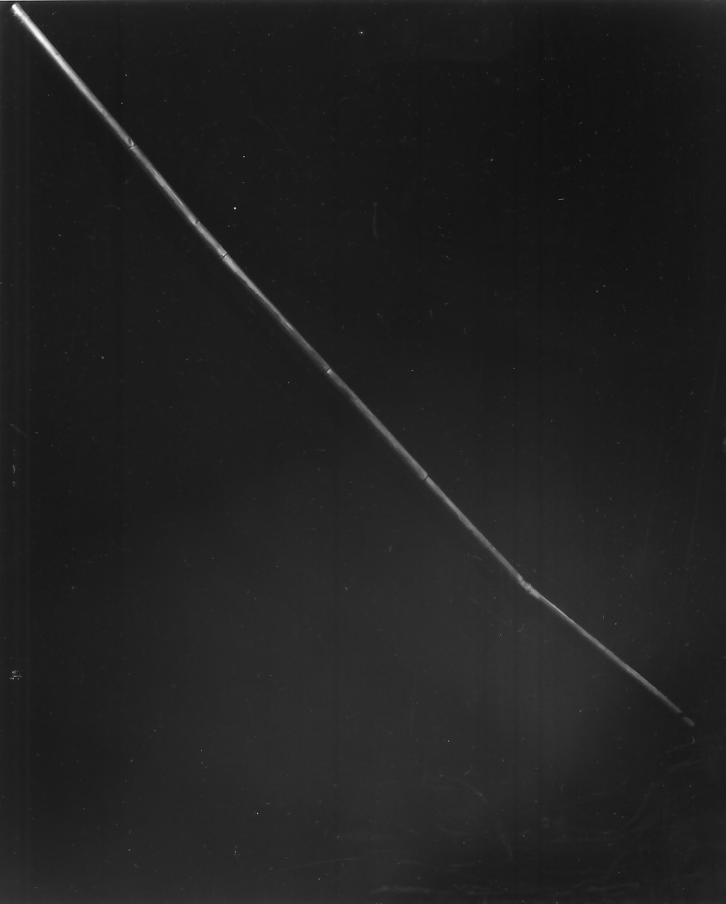 bastone - bottega napoletana (sec. XIX)