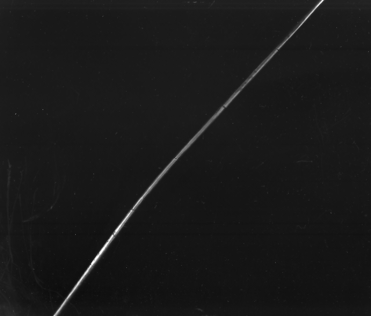 bastone - bottega Italia meridionale (sec. XIX)