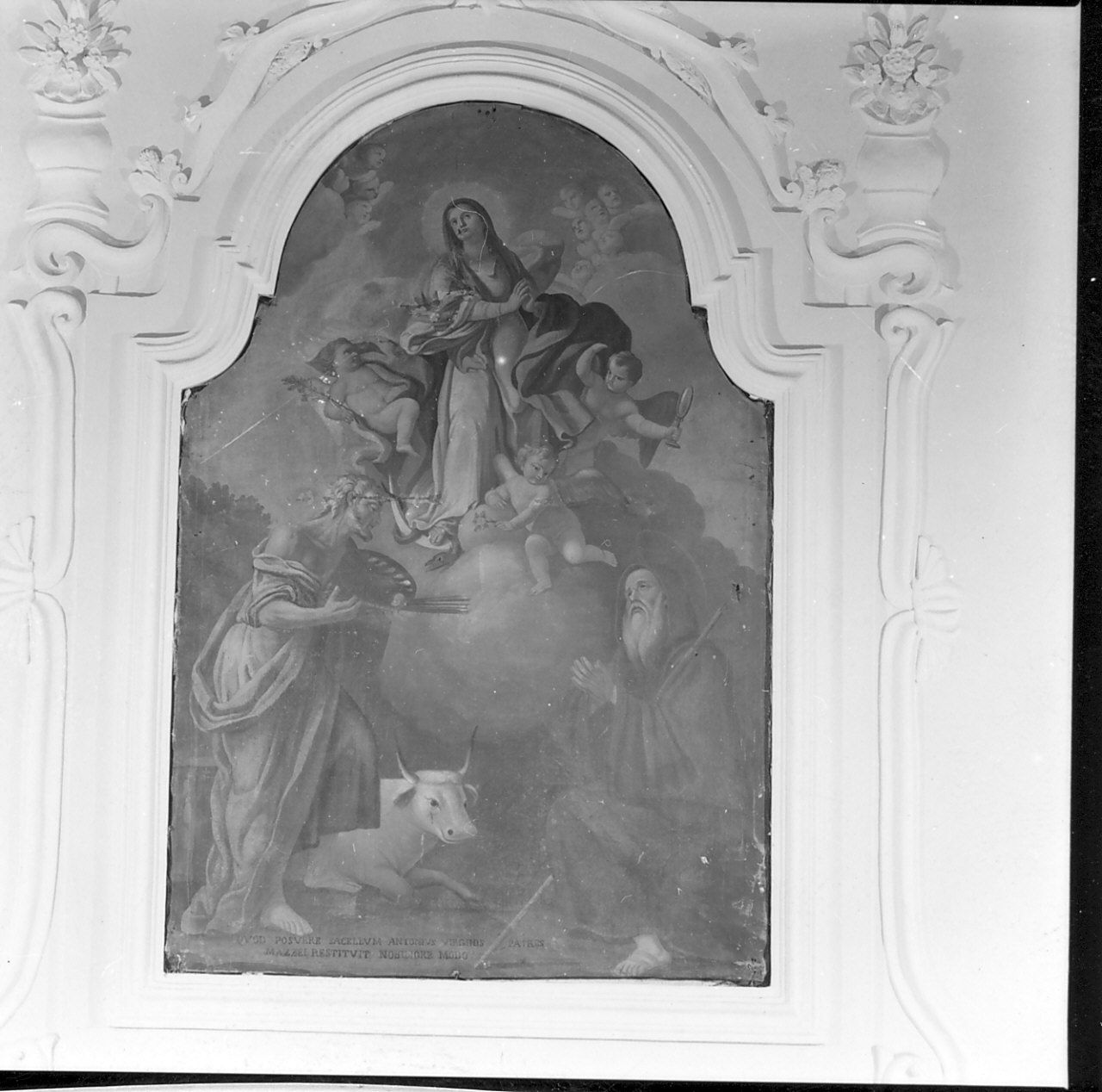 Immacolata Concezione e santi (dipinto, opera isolata) - ambito calabrese (sec. XVIII)