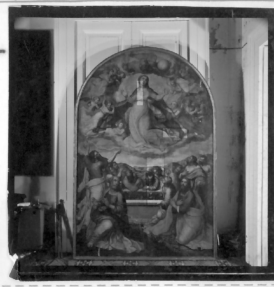 Madonna Assunta (dipinto, opera isolata) di Pino Marco (sec. XVI)