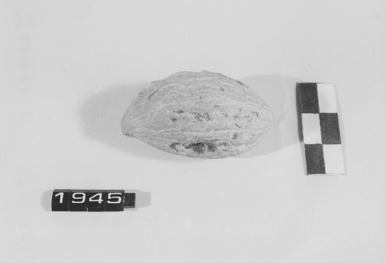 noce, amuleti - manifattura (sec. XX)