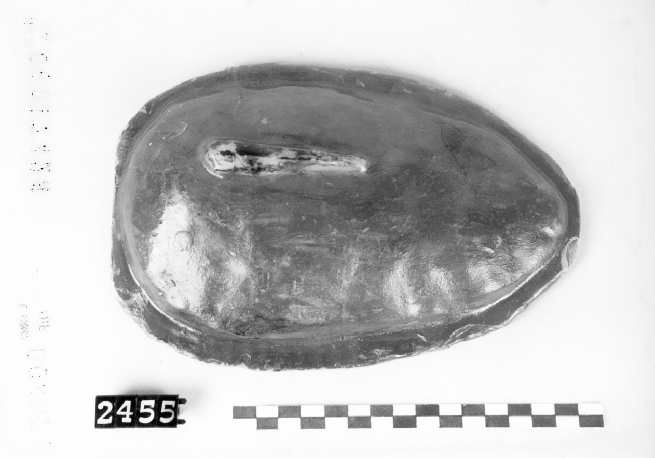 Fegato (ex voto) - bottega Surace (1950-1980)