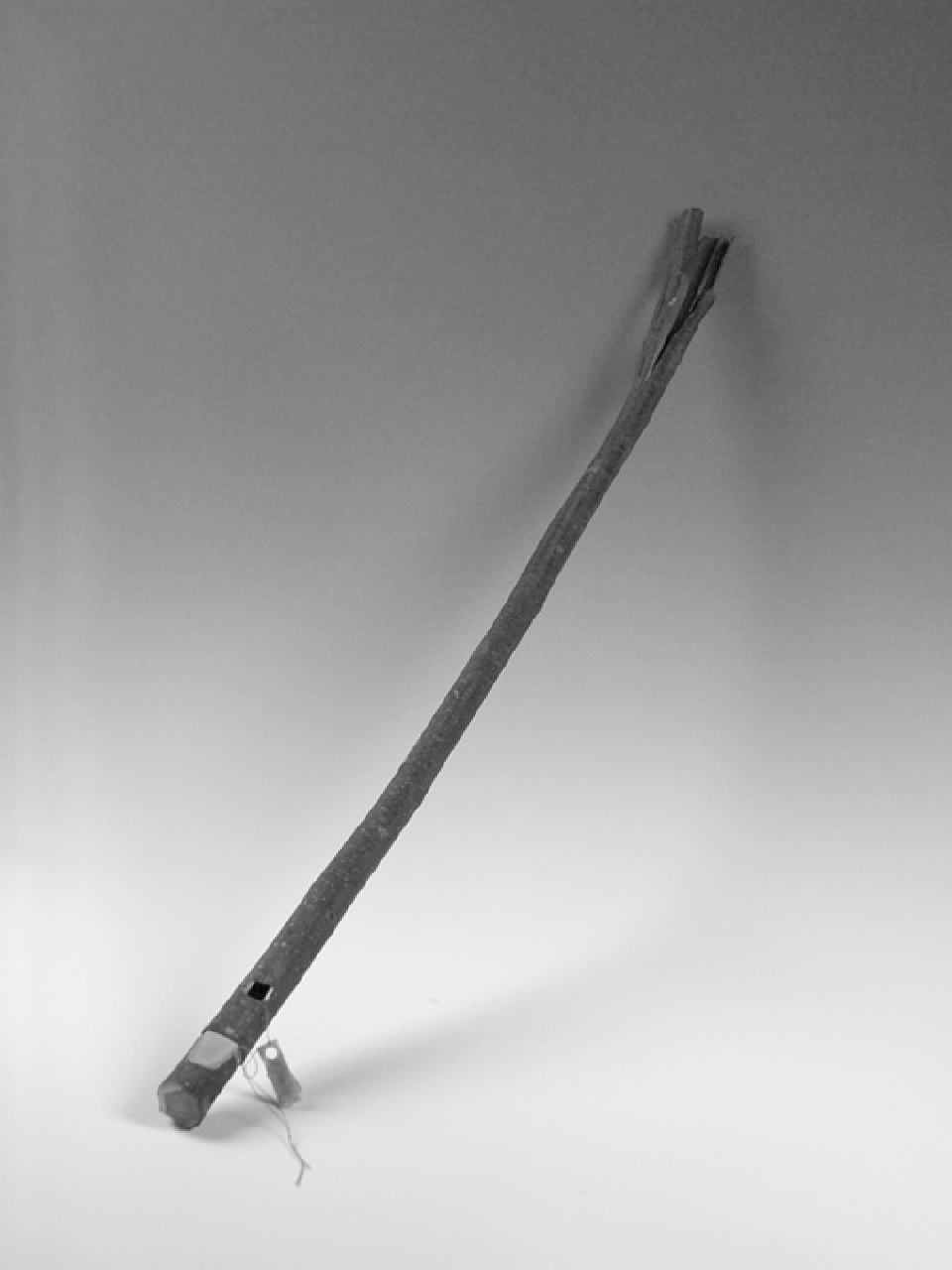 flauto, strumento musicale - ambito calabrese pastorale (sec. XX)