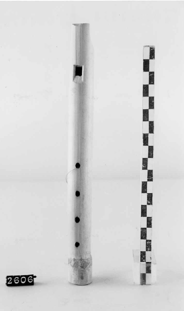 flauto a becco, strumento musicale - ambito calabrese pastorale (sec. XX)