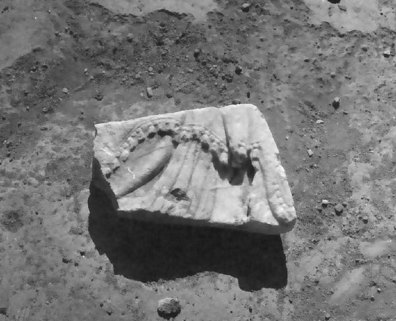 scultura, frammento - bottega calabrese (sec. XV, sec. XVI)