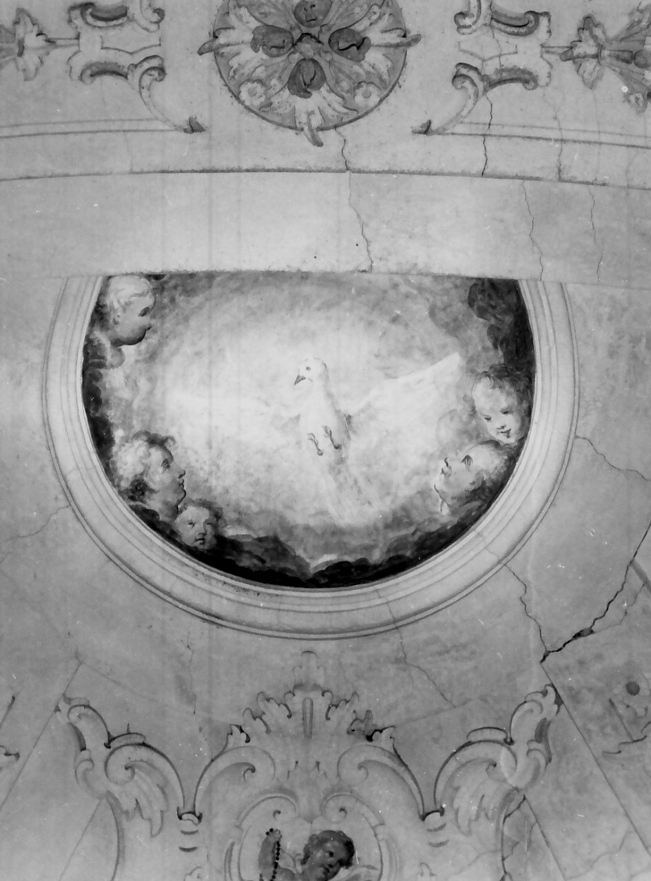 colomba dello Spirito Santo (dipinto, elemento d'insieme) di Borremans Guglielmo (prima metà sec. XVIII)