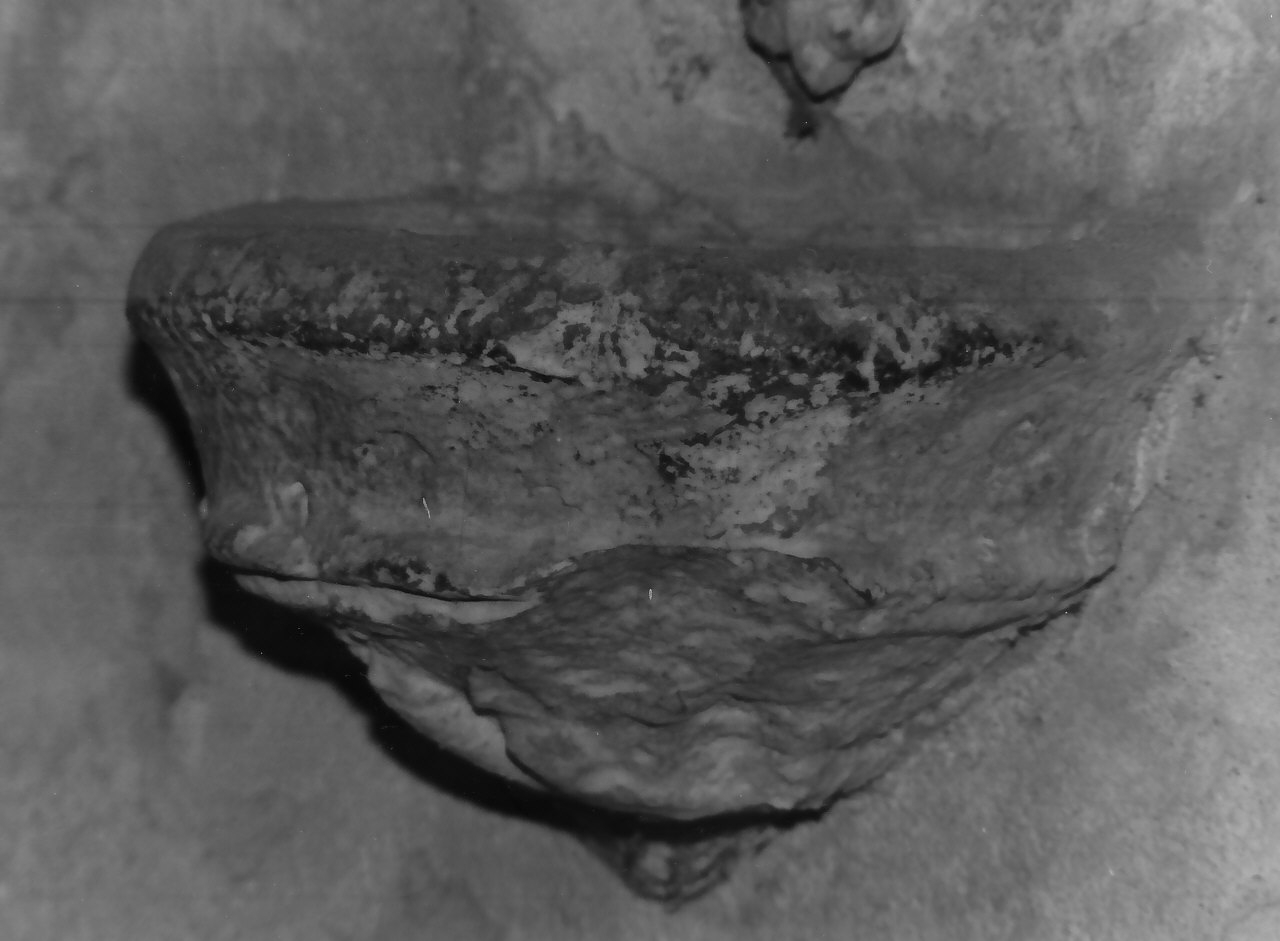 acquasantiera pensile, opera isolata - bottega calabrese (sec. XVII)