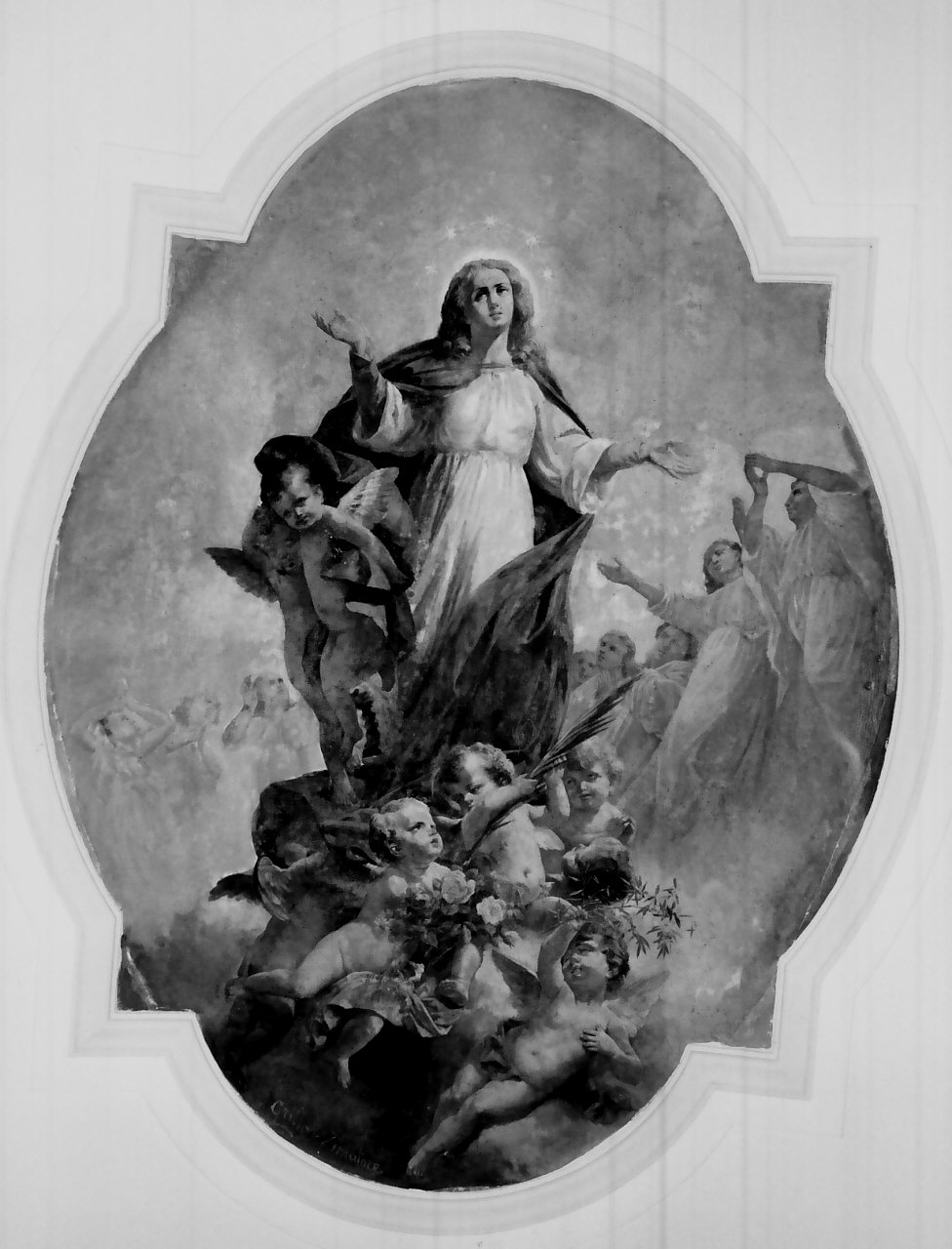 Madonna Assunta (dipinto, opera isolata) di Zimatore Carmelo, Grillo Diego Antonio (inizio sec. XX)