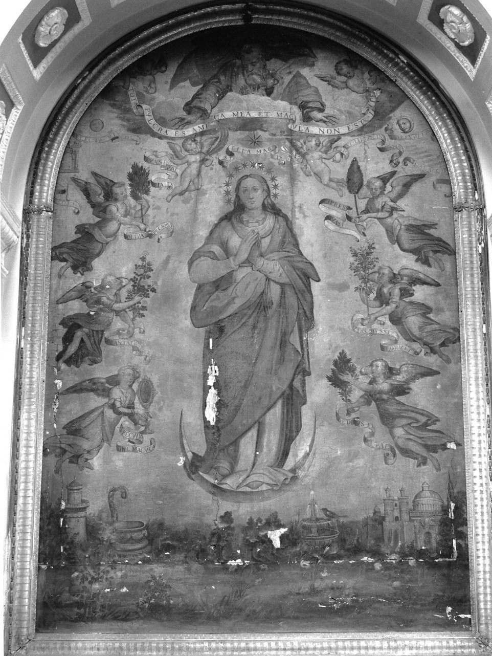 Immacolata Concezione (dipinto) - ambito napoletano (ultimo quarto sec. XVI)