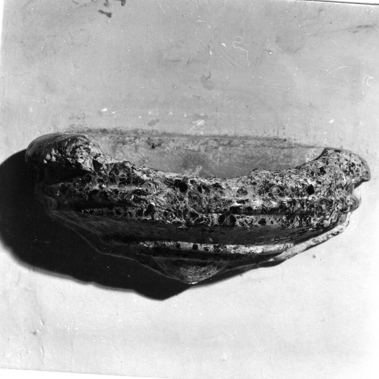 acquasantiera da parete - bottega napoletana (inizio sec. XVII)