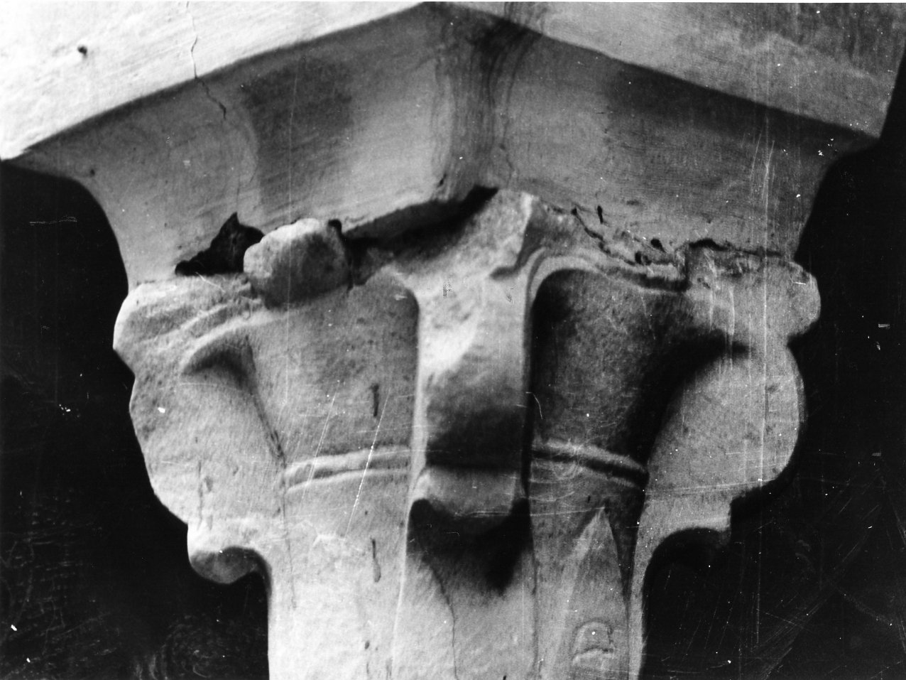 capitello, serie - bottega campana (metà sec. XI)