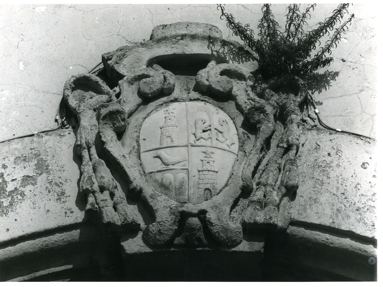 stemma (rilievo) - bottega campana (metà sec. XVIII)