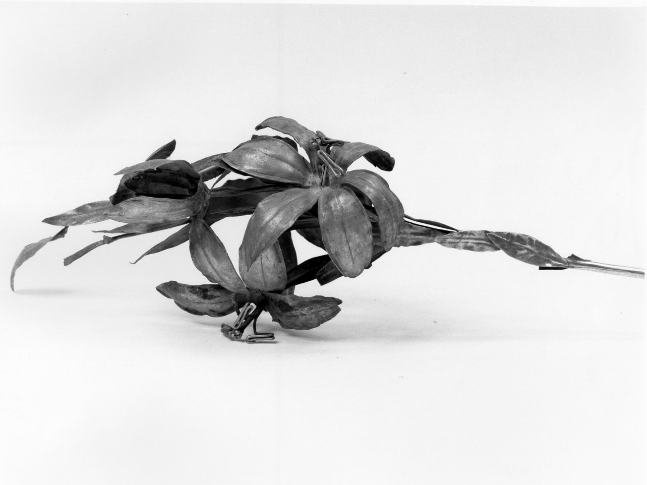 decorazione - bottega napoletana (metà sec. XIX)