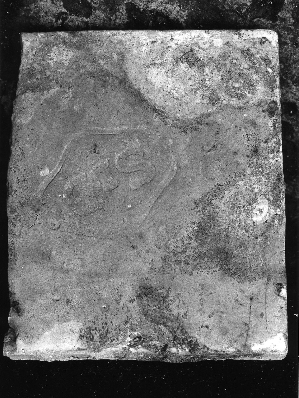 riggiola - bottega napoletana (metà sec. XVIII)