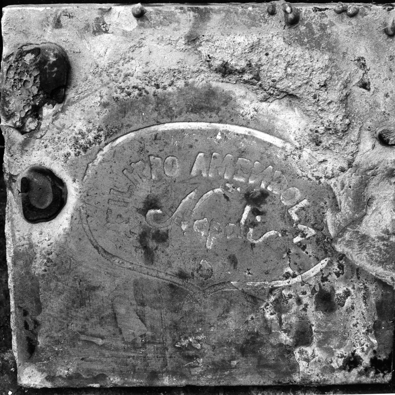 riggiola - bottega napoletana (metà sec. XIX)