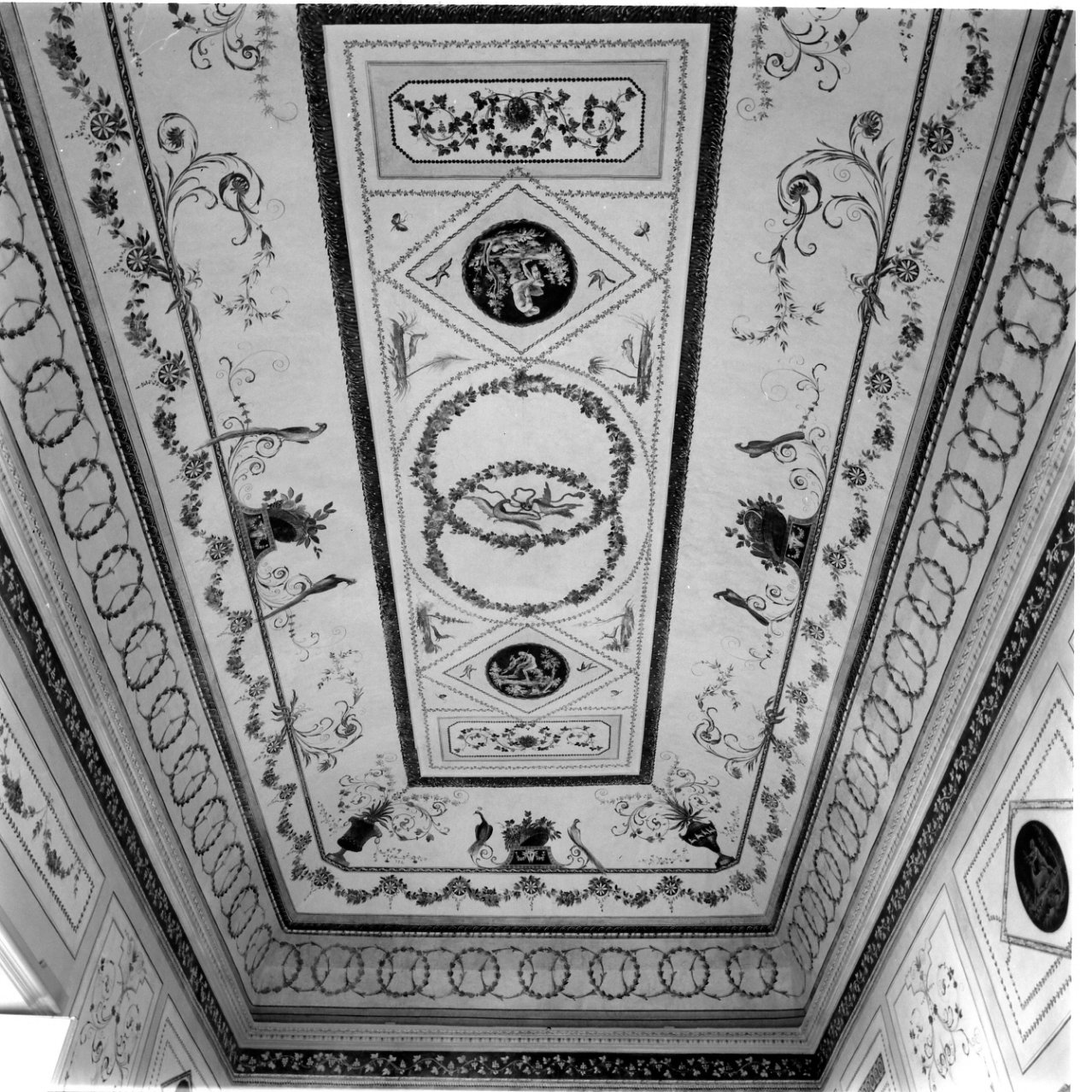 motivi decorativi floreali (decorazione pittorica) - ambito napoletano (metà sec. XVIII)