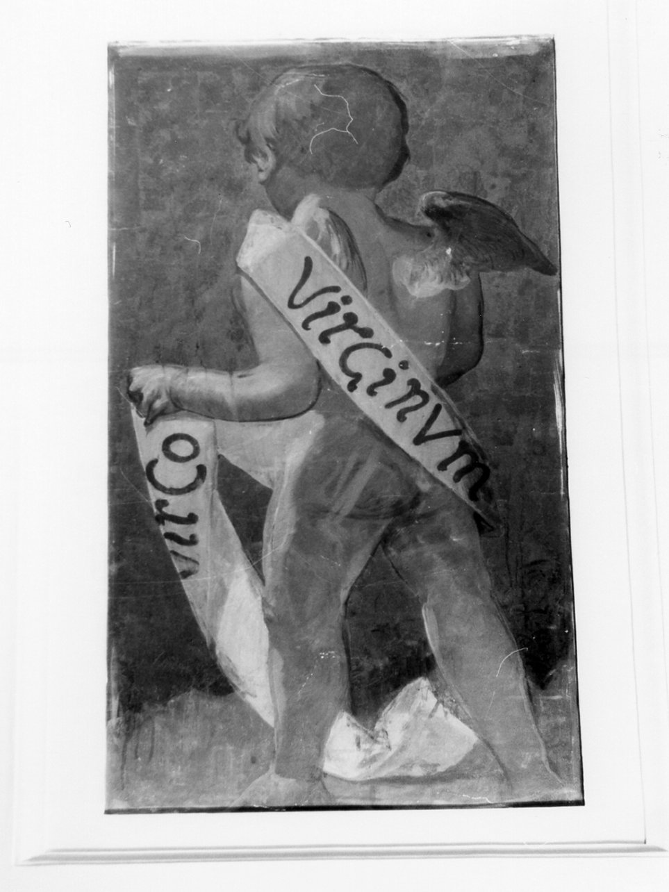 putto (dipinto) di Taglialatela Luigi (prima metà sec. XX)