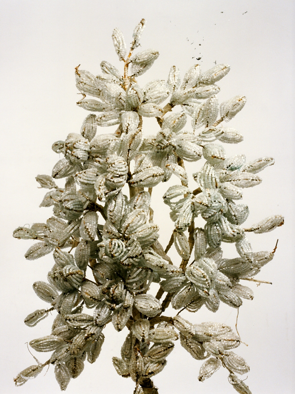 decorazione, serie - bottega napoletana (primo quarto sec. XX)