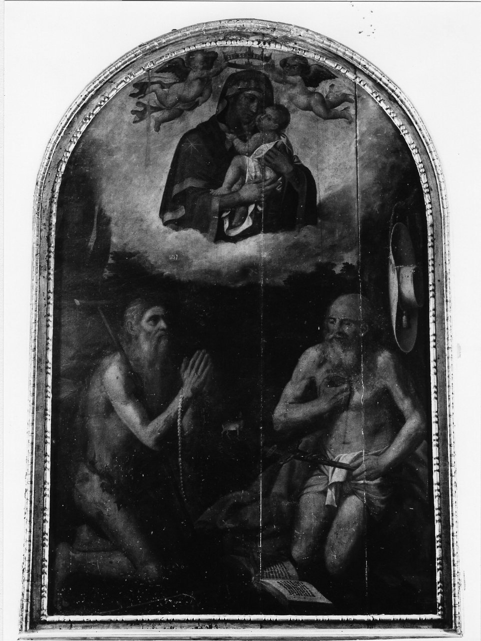 Madonna del Carmelo e santi (dipinto) di Lama Giovan Bernardo (seconda metà sec. XVI)