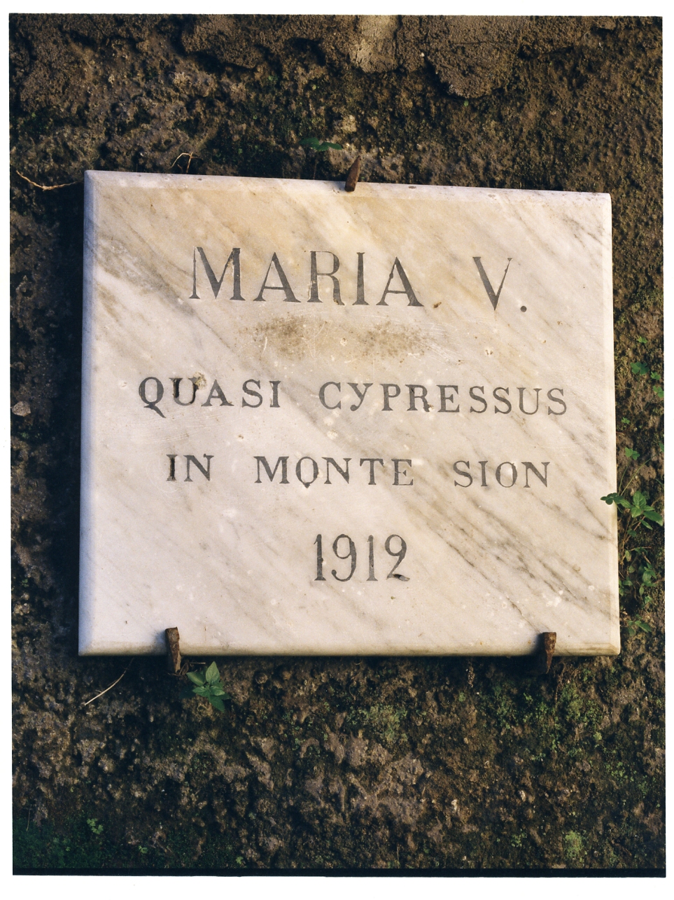 lapide - bottega campana (sec. XX)