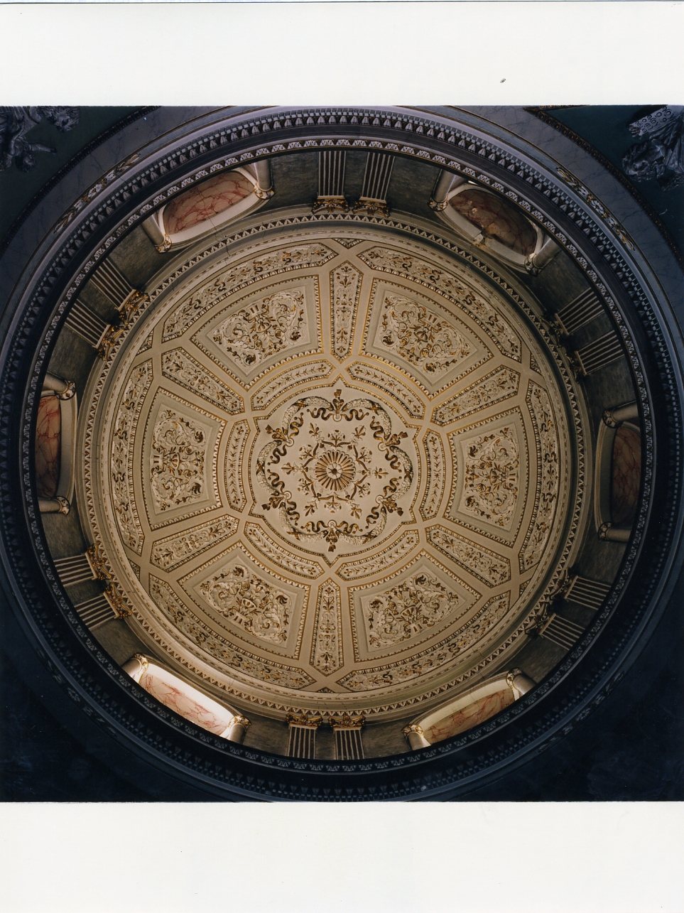 motivi decorativi floreali (decorazione plastico-pittorica) di De Martino Francesco (terzo quarto sec. XIX)