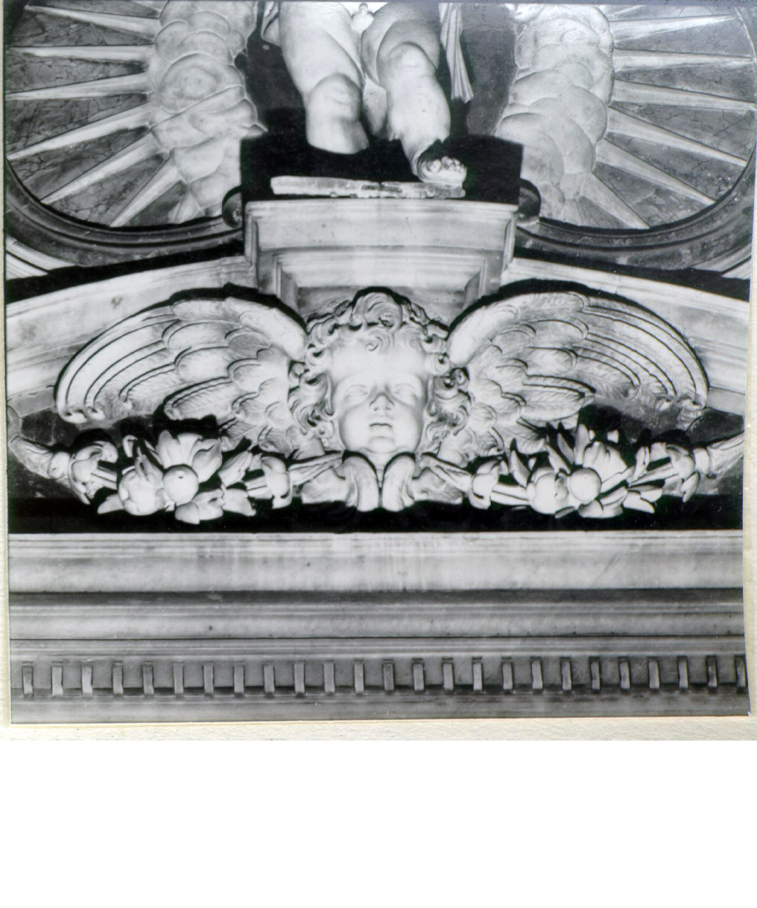 cherubino (decorazione plastica, elemento d'insieme) di Fanzago Cosimo (e aiuti) (sec. XVII)