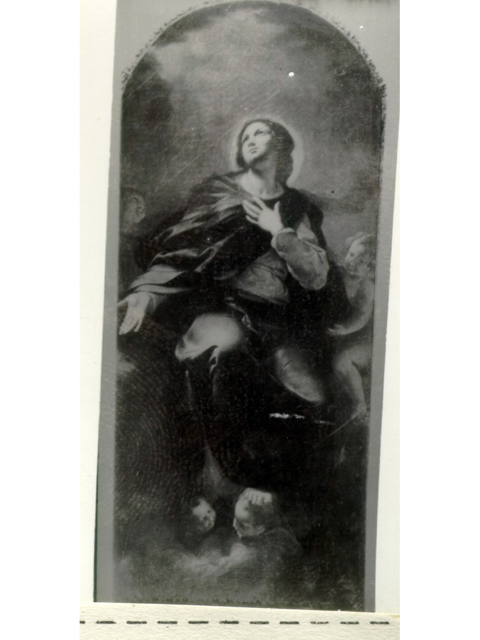 Madonna Assunta (dipinto) di Di Maria Francesco (seconda metà sec. XVII)