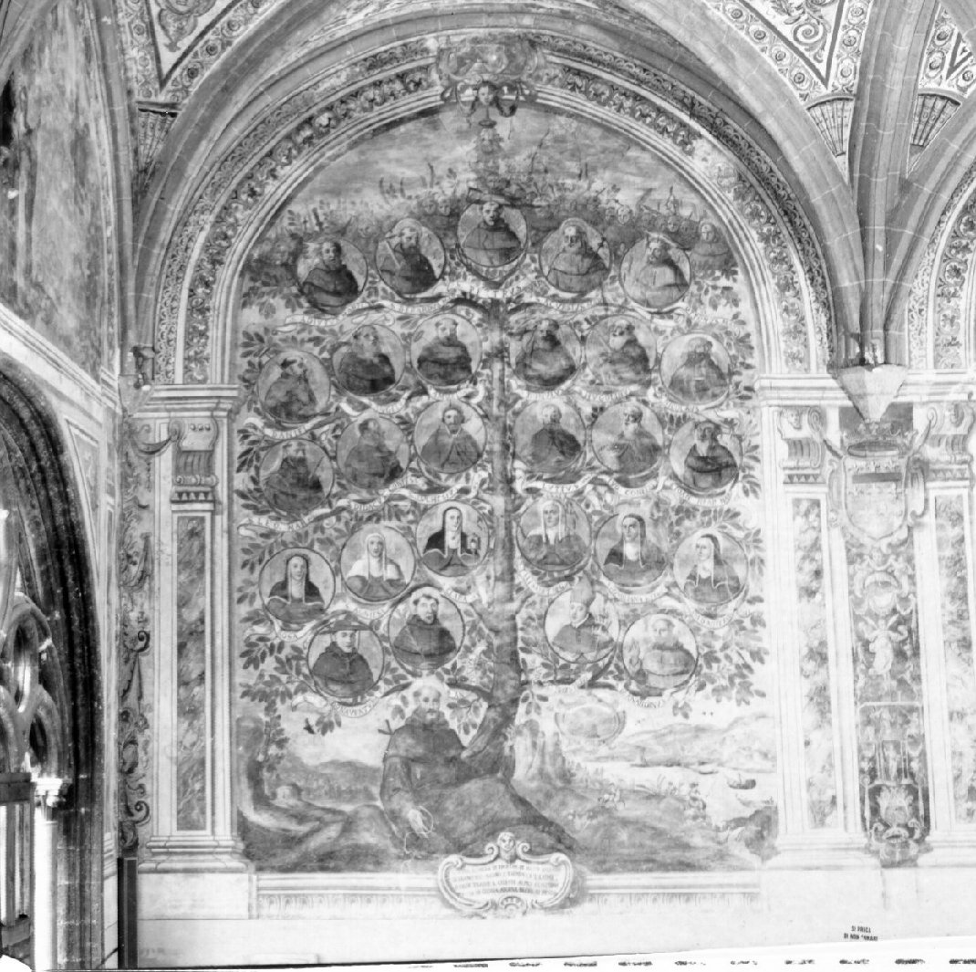 San Francesco d'Assisi e albero dell'ordine francescano (dipinto, elemento d'insieme) di Rodriguez Luigi (sec. XVII)