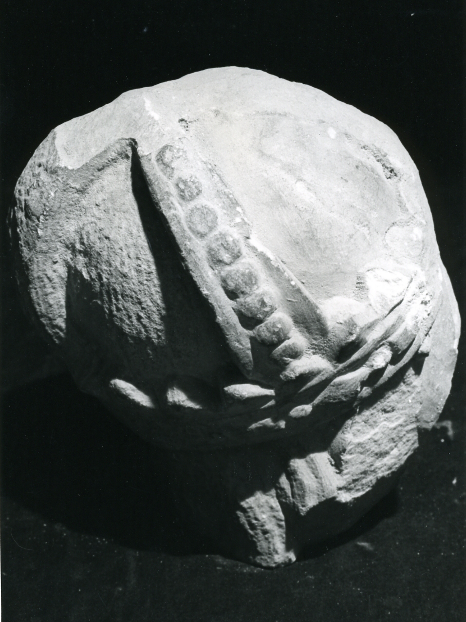 scultura, frammento - bottega napoletana (metà sec. XIV)