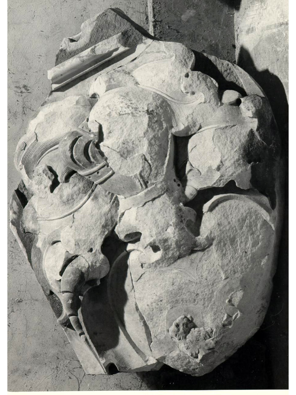 stemma gentilizio (rilievo, frammento) - bottega napoletana (metà sec. XVI)