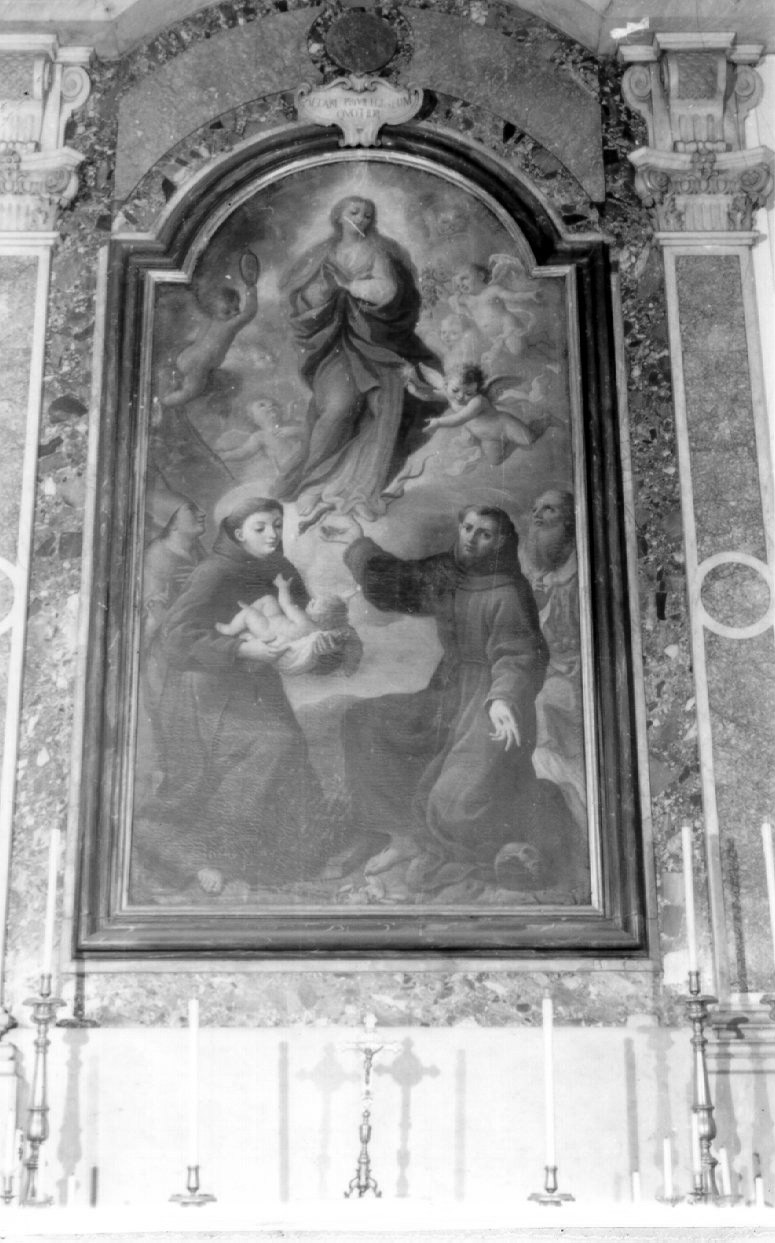 Immacolata Concezione e santi (dipinto) di Sarnelli Antonio (sec. XVIII)