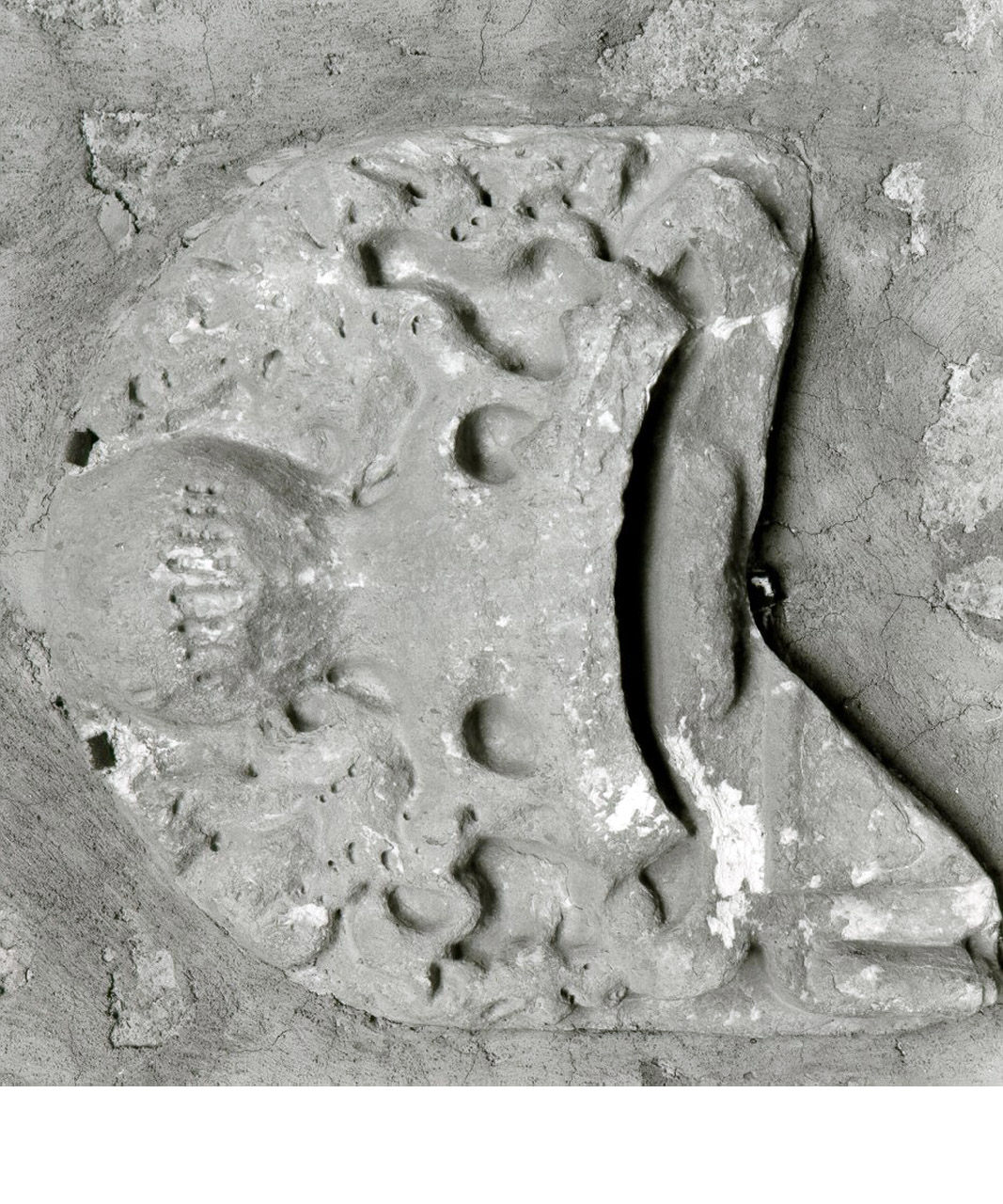 STEMMA GENTILIZIO (STEMMA, FRAMMENTO) - BOTTEGA NAPOLETANA (Metà sec. XVII)