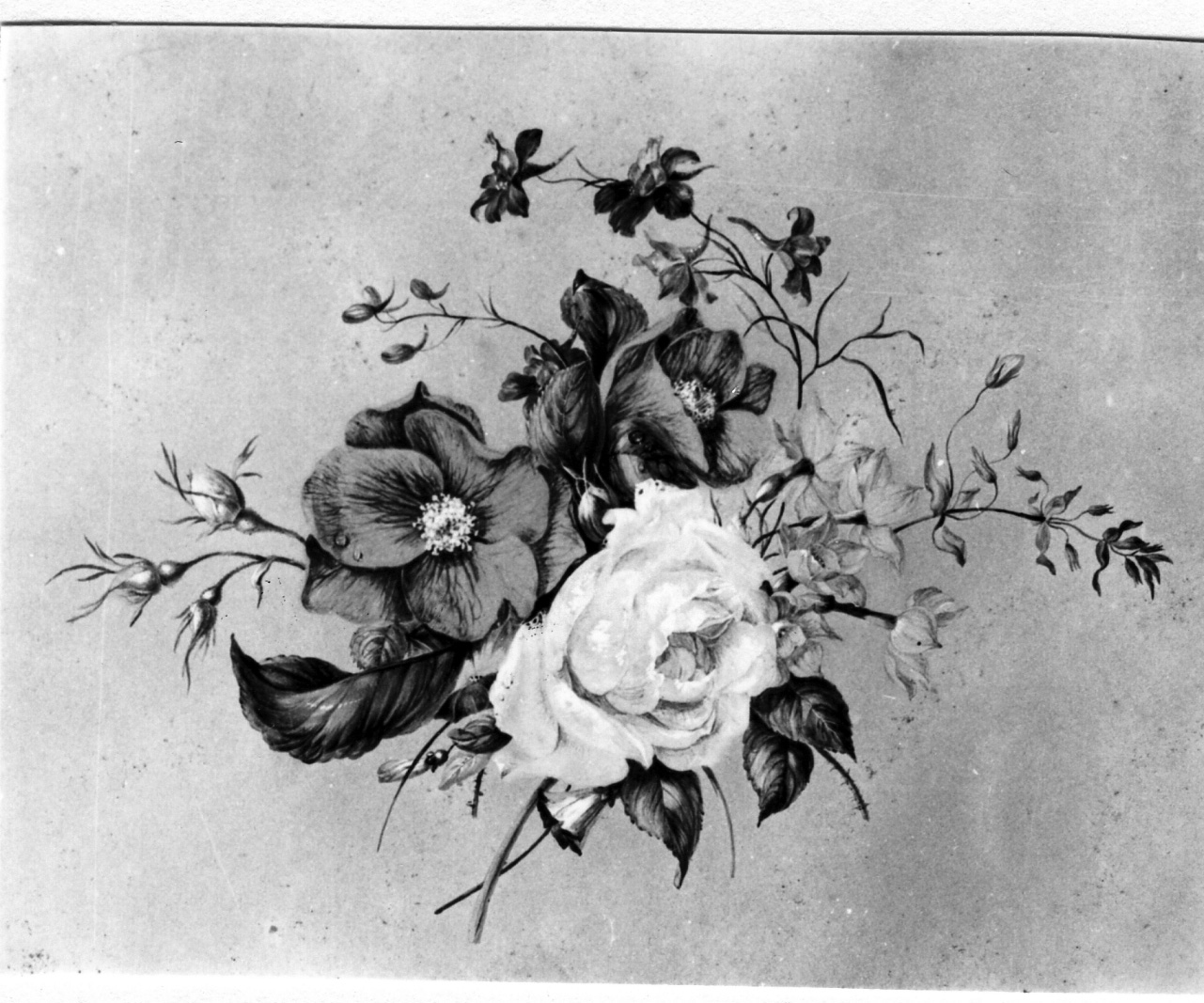 fiori (dipinto) di Xavier Petter Franz (metà sec. XIX)