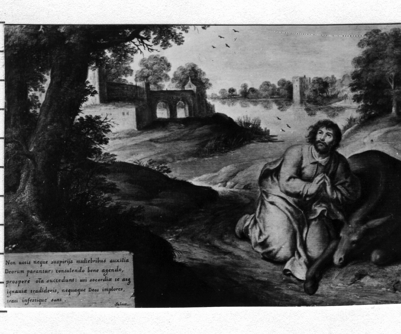 proverbio di filosofo (dipinto, ciclo) di Zuccari Federico (seconda metà sec. XVI)