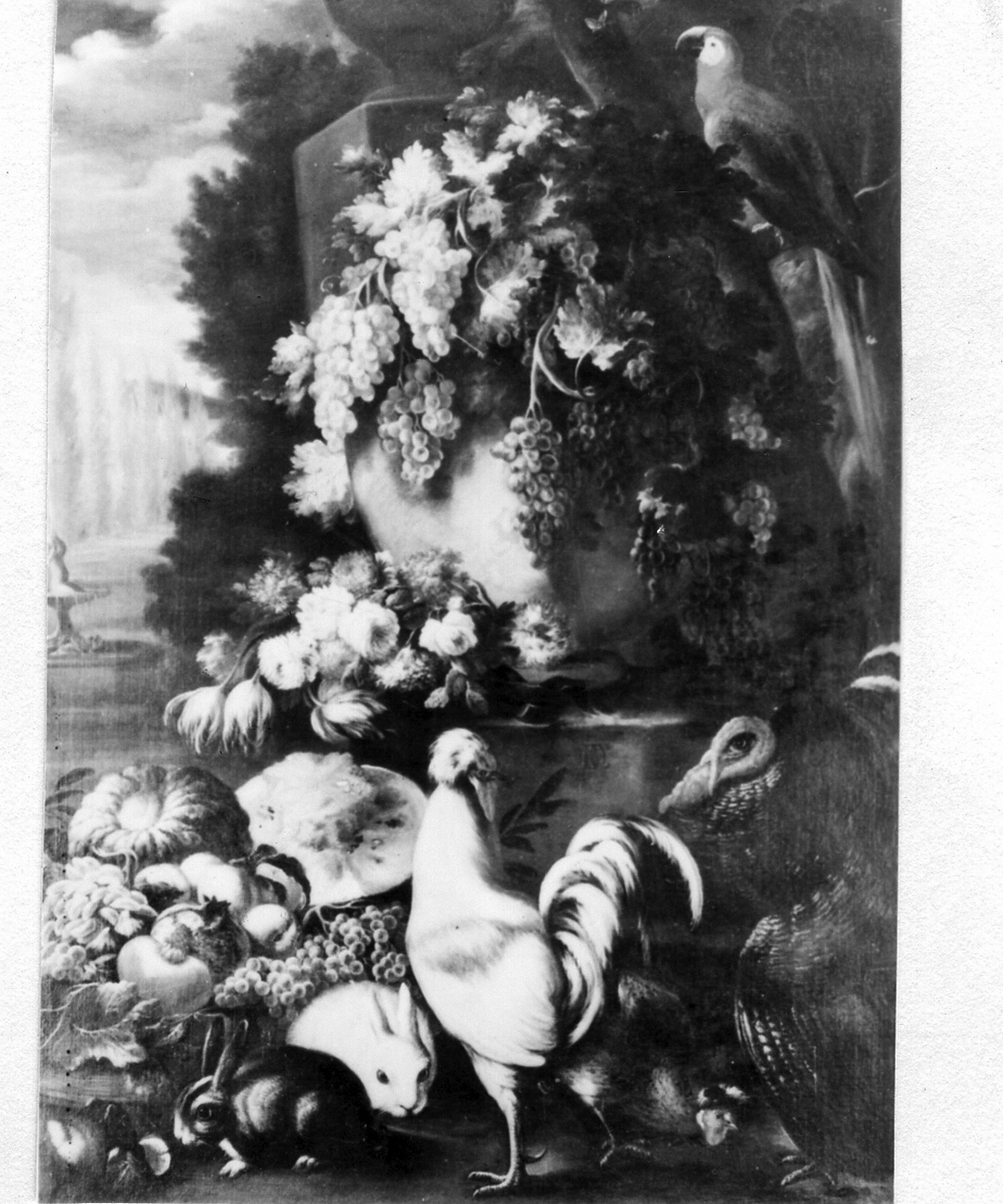natura morta di fiori e frutta con conigli gallo e pappagallo (dipinto) di De Caro Baldassare (prima metà sec. XVIII)