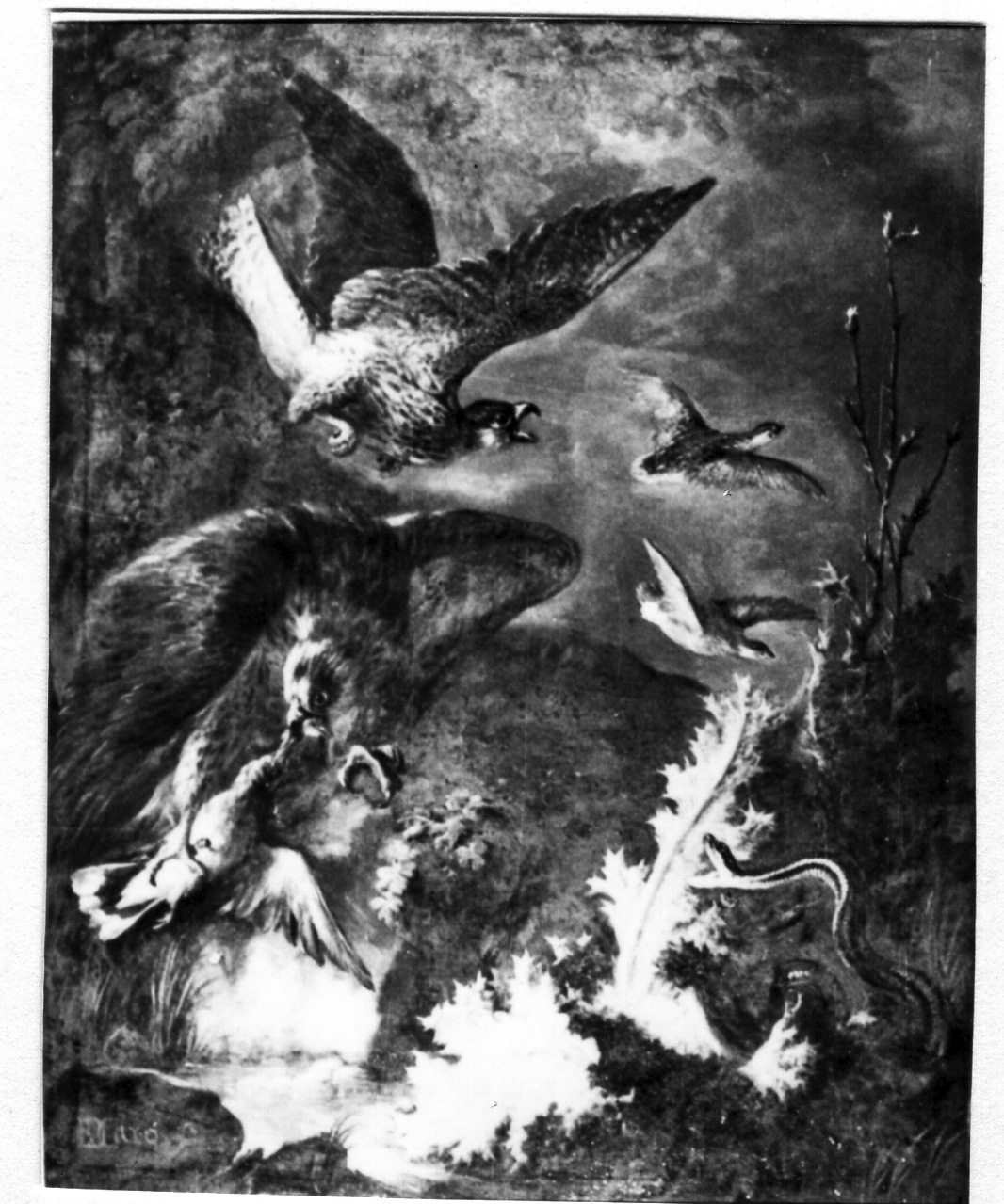 aquila che rapisce un uccello (dipinto) di De Caro Baldassare (prima metà sec. XVIII)