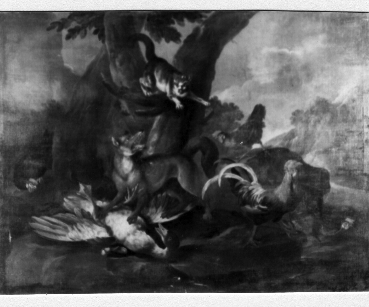 volpe che cattura un'anatra (dipinto) di Crivelli Angelo Maria (primo quarto sec. XVIII)