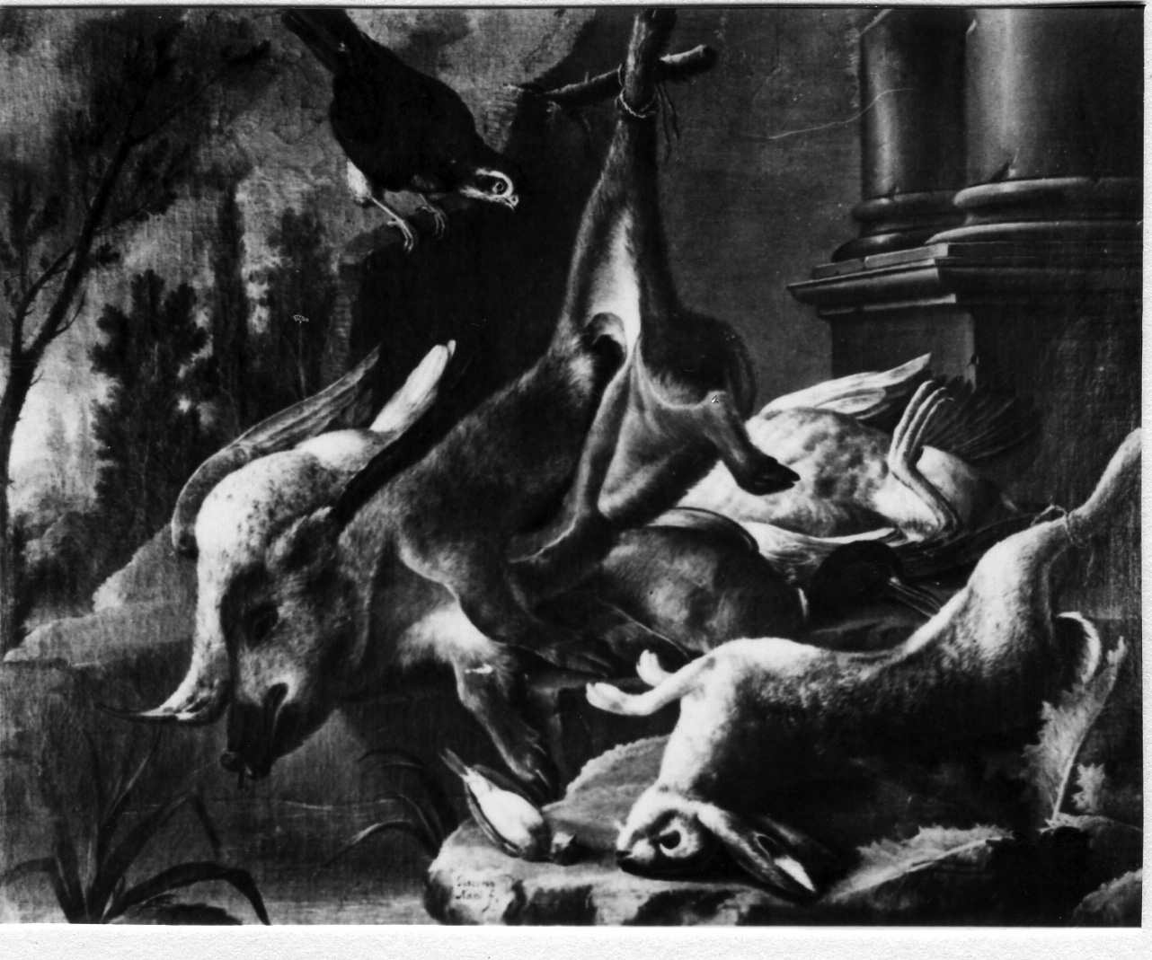 cacciagione morta con cinghiale e lepre (dipinto) di Nani Giacomo (terzo quarto sec. XVIII)