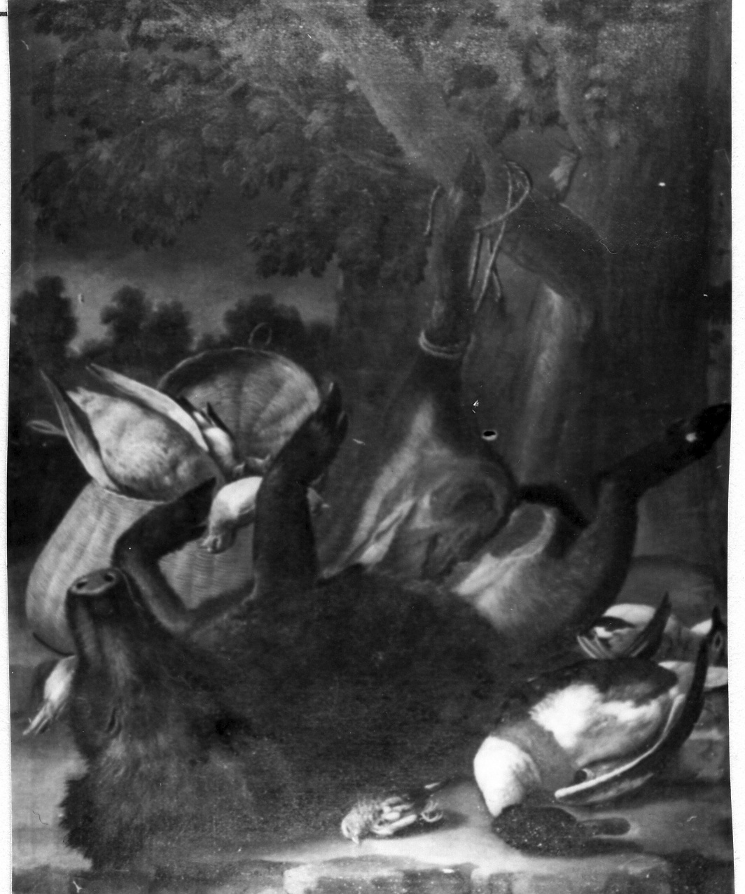 cacciagione con cinghiale sventrato (dipinto) di Nani Giacomo (terzo quarto sec. XVIII)