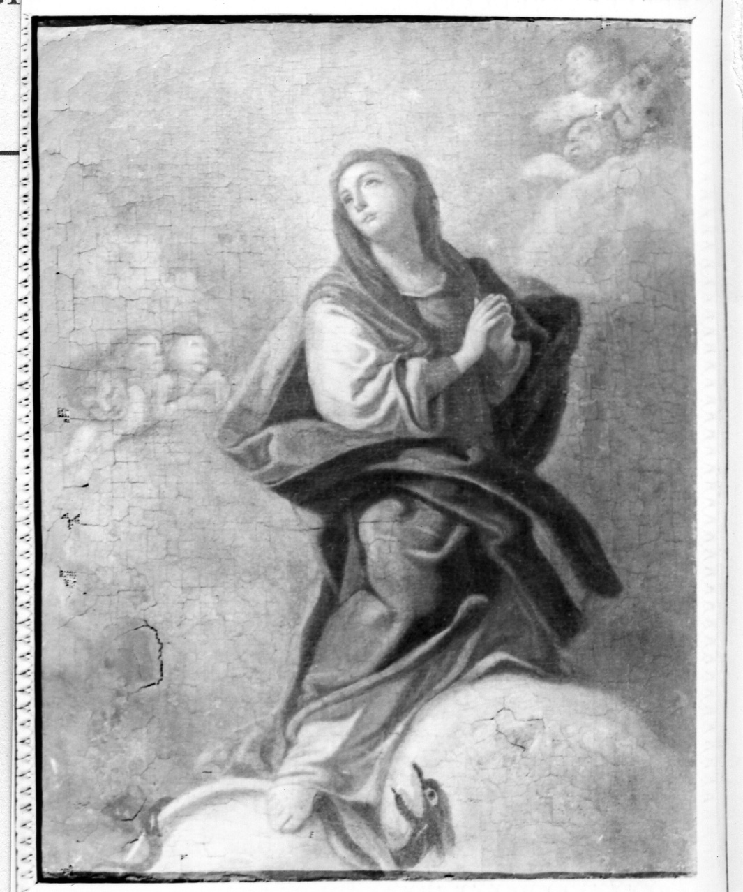 Immacolata Concezione (dipinto) di De Matteis Paolo (scuola) (prima metà sec. XVIII)
