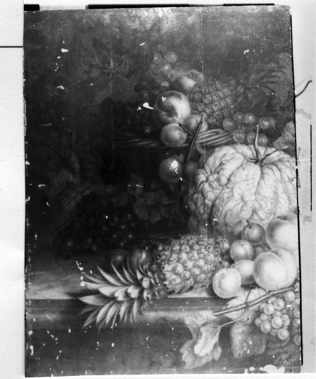 natura morta con frutta (dipinto) di Vervloet Augustine (prima metà sec. XIX)