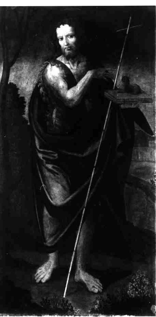 SAN GIOVANNI BATTISTA (DIPINTO) - AMBITO NAPOLETANO (Seconda metà Sec. XVI)