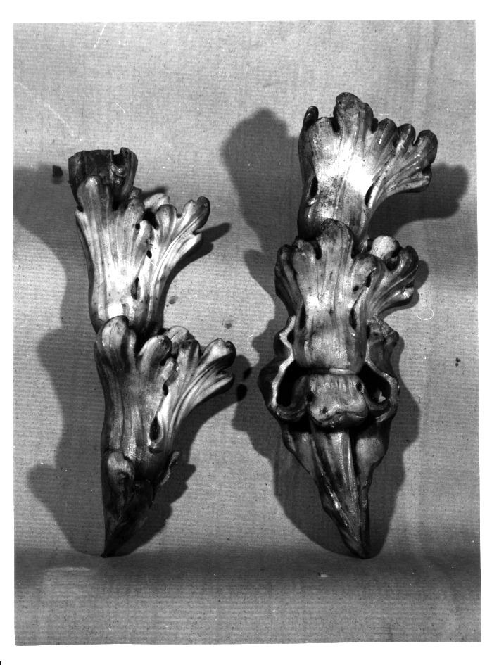 ELEMENTO DI DECORAZIONE, FRAMMENTO - manifattura napoletana (Prima metà sec. XVIII)