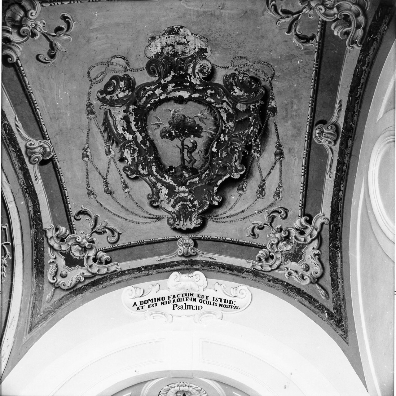 decorazione plastica - bottega campana (sec. XVIII)