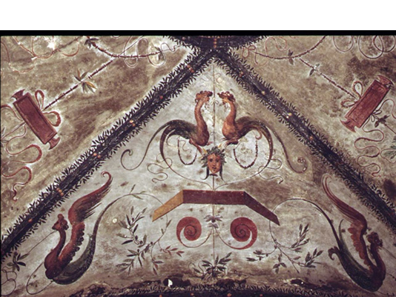 motivi decorativi a grottesche (dipinto, elemento d'insieme) di Tesauro Agostino (sec. XVI)