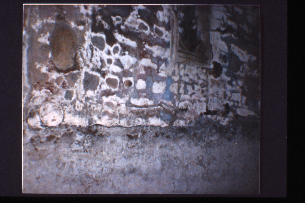 decorazione pittorica, frammento di Cavallini Pietro (cerchia) (terzo quarto sec. XIV)